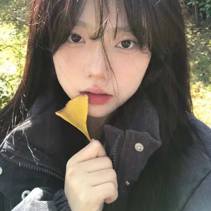 斗舞帮